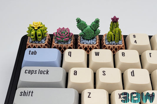 Cactus Keycap Set | Handpainted Resin Artisan Caps | Cherry MX | Succulents